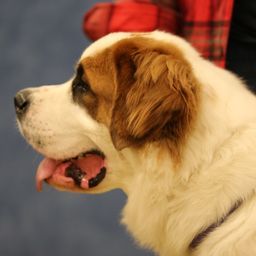 photograph by PeterW